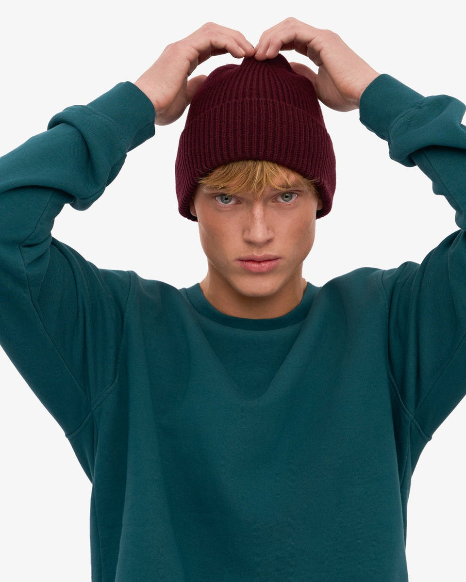 Colorful Standard Merino 