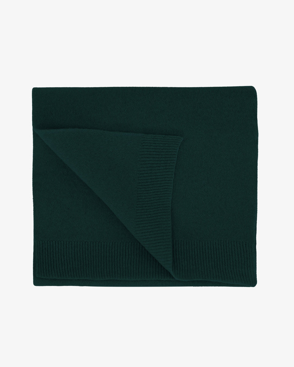 Colorful Standard Merino Wool Scarf Donkergroen Heren
