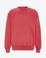 Organic Oversized crew