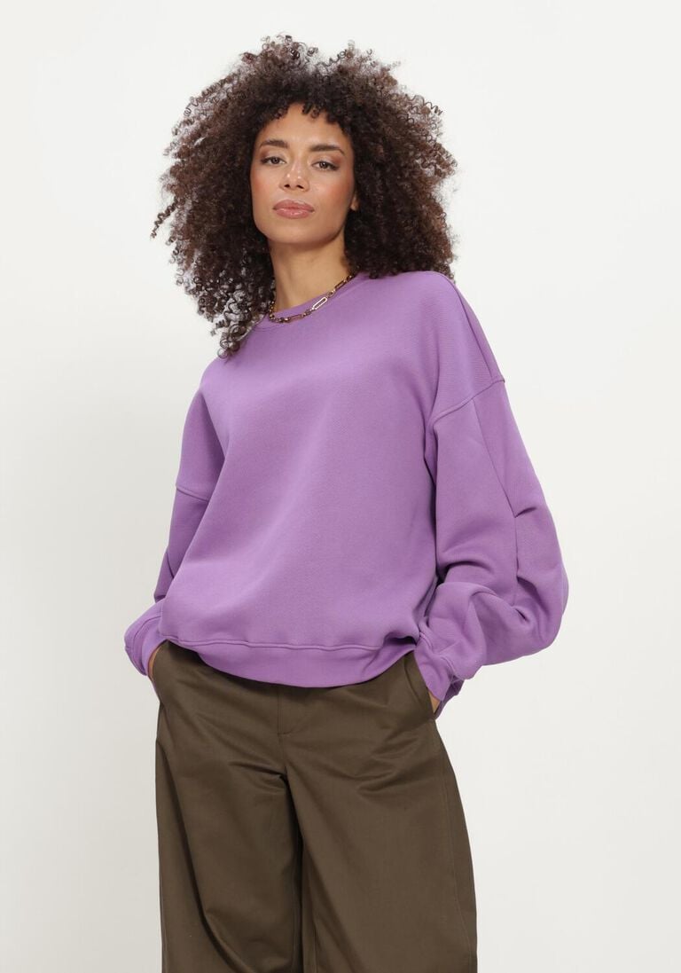 Edited Caio Sweater Paars Dames