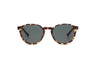 Komono Liam Sunglasses Donkerbruin Unisex