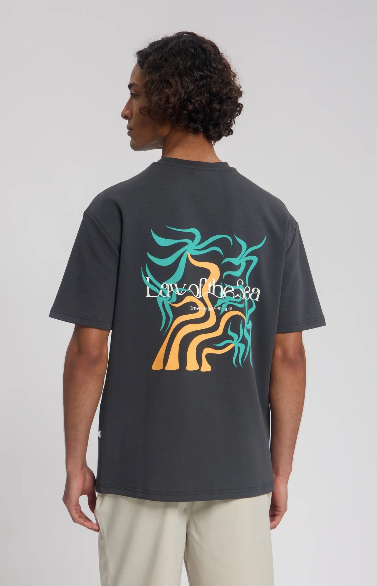 Law Of The Sea Palm S